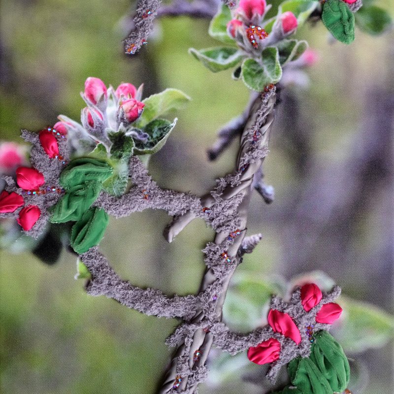 Fleur de pomme