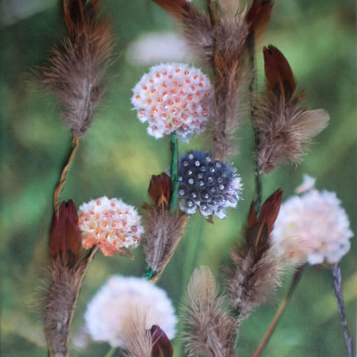 FLEURS DE CRISTAL