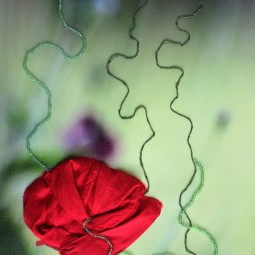JOLI COQUELICOT MADAME