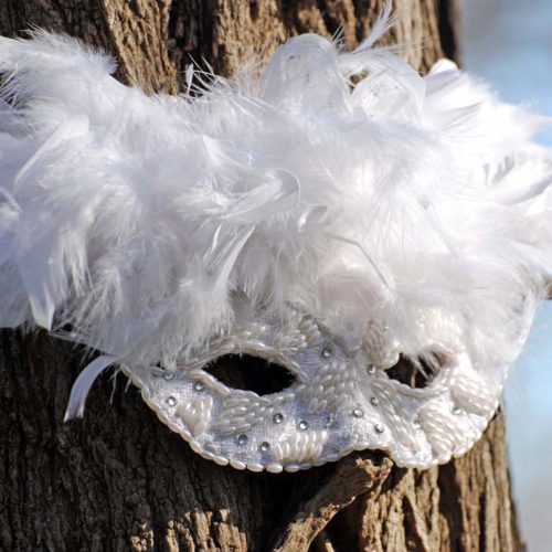 Plumes blanches