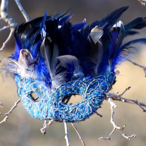 Plumes canard
