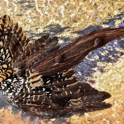 Oiseau de Feu